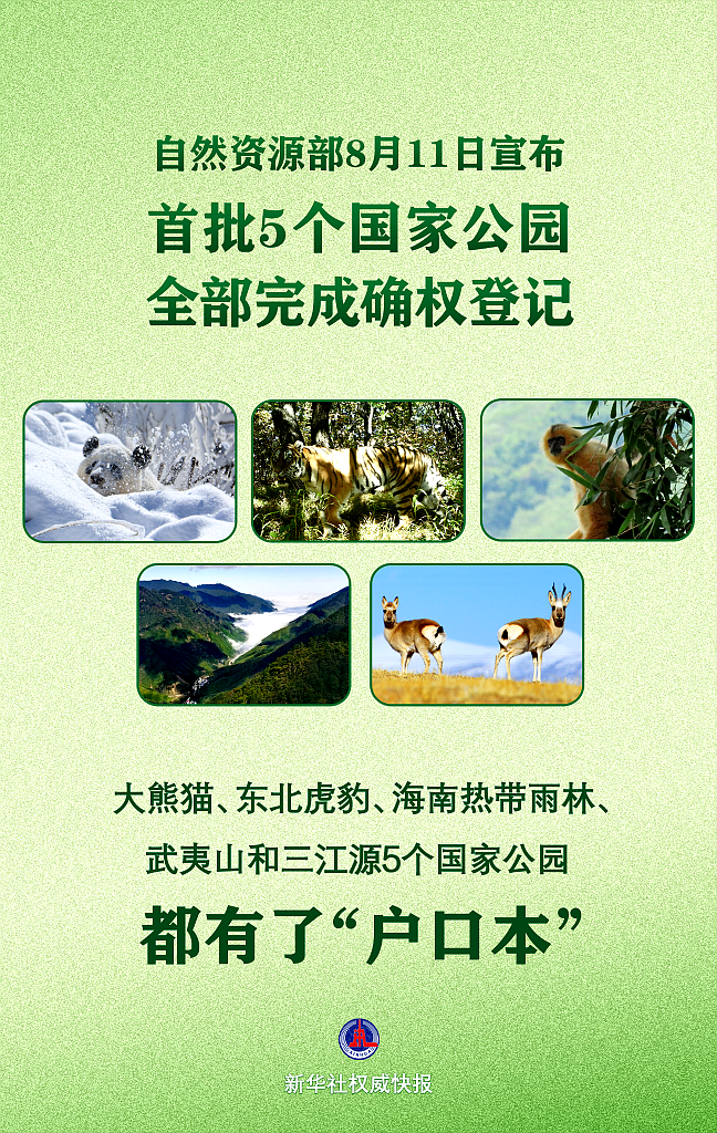 202508110f51a54b662b4e2fad2e10df565e429e_6f8152ad24604b2591e818bd406404d1