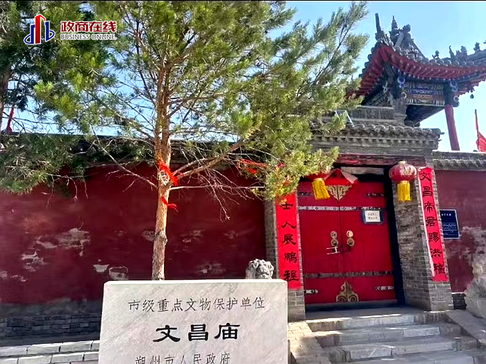 图片3
