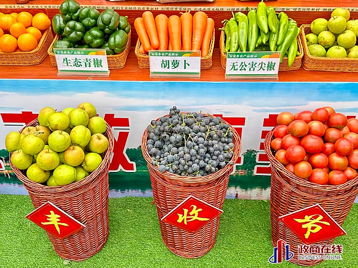 微信图片_20250925175236 微信图片_20250925175236