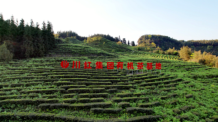 677bc616-939d-4e4c-9d35-96f5c9bc7a5d 677bc616-939d-4e4c-9d35-96f5c9bc7a5d