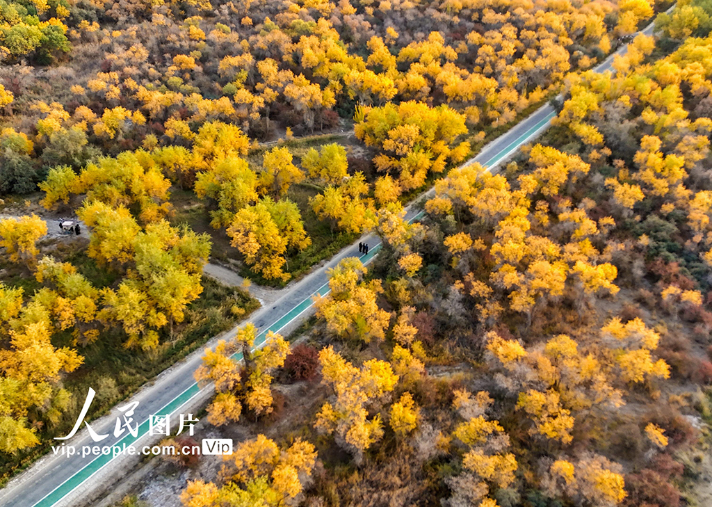 MAIN1760944493475SN0R2L98Y4 MAIN1760944493475SN0R2L98Y4