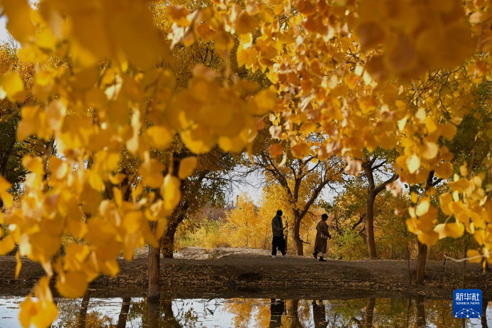 20251015a09a088d5a334f53b9e48d9f5b84e76d_202510151f21221b1a494d798204a44f20714458 20251015a09a088d5a334f53b9e48d9f5b84e76d_202510151f21221b1a494d798204a44f20714458