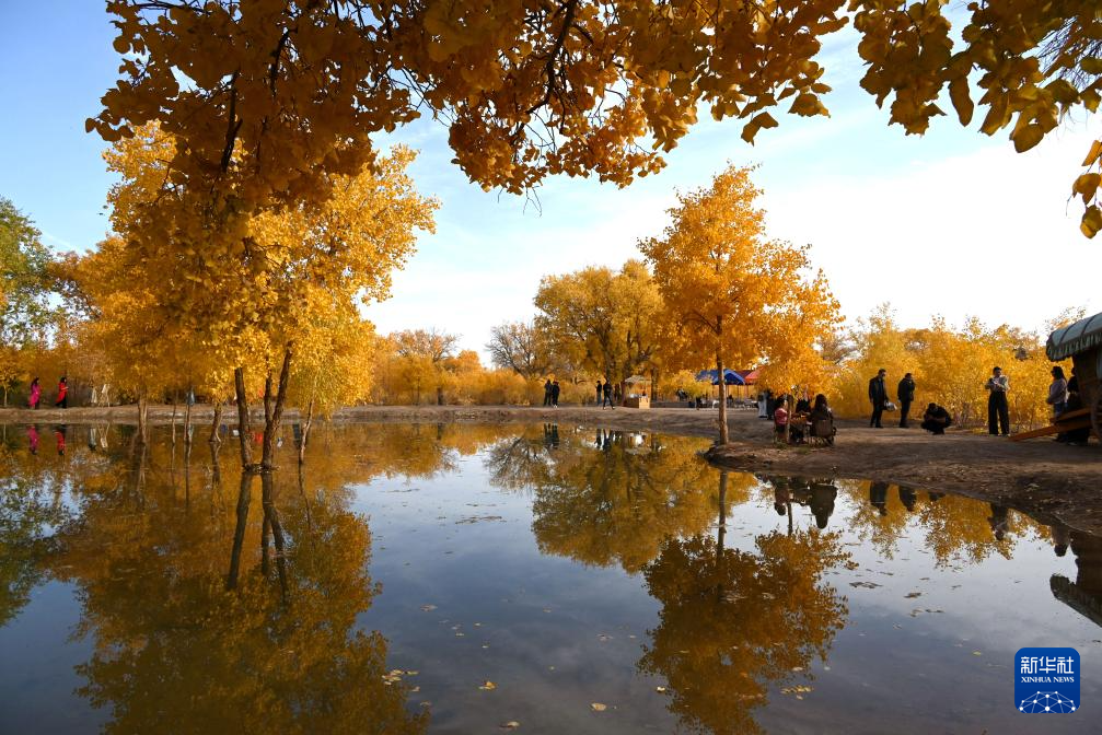 20251015a09a088d5a334f53b9e48d9f5b84e76d_202510150366da603bcd41f7bb391bd67b083c31 20251015a09a088d5a334f53b9e48d9f5b84e76d_202510150366da603bcd41f7bb391bd67b083c31