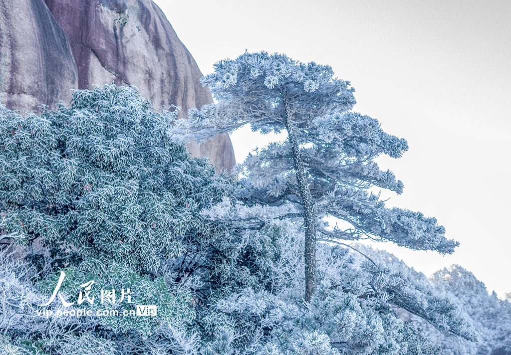 MAIN1763448660423IOF5JRNA5M MAIN1763448660423IOF5JRNA5M