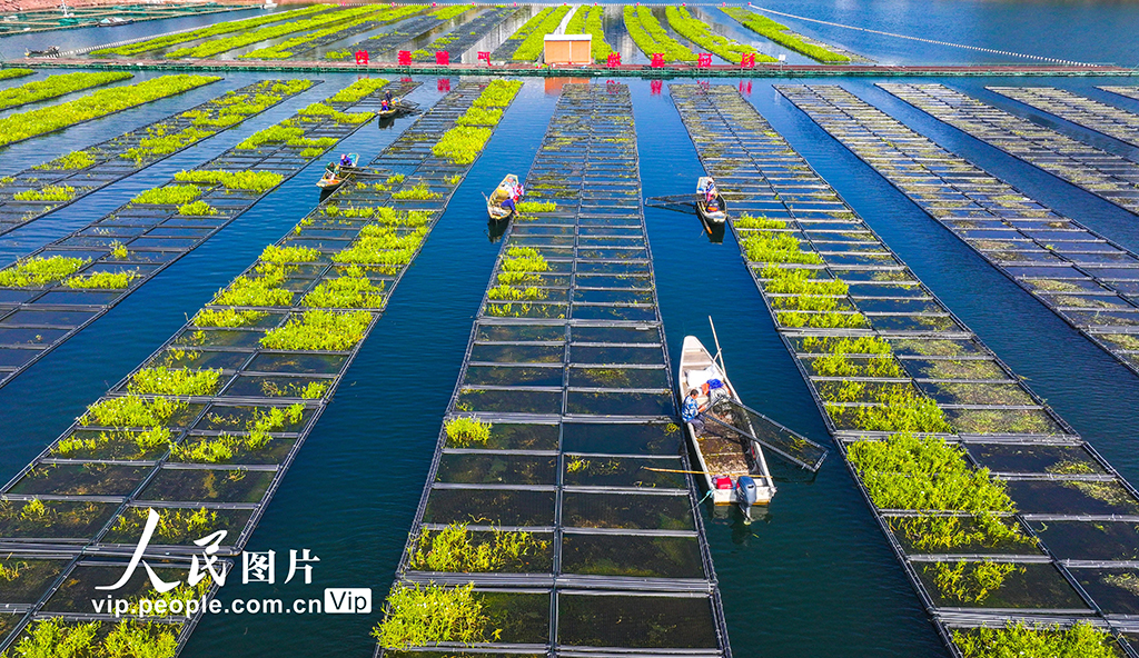 MAIN17635131144399JO7UE1M8K