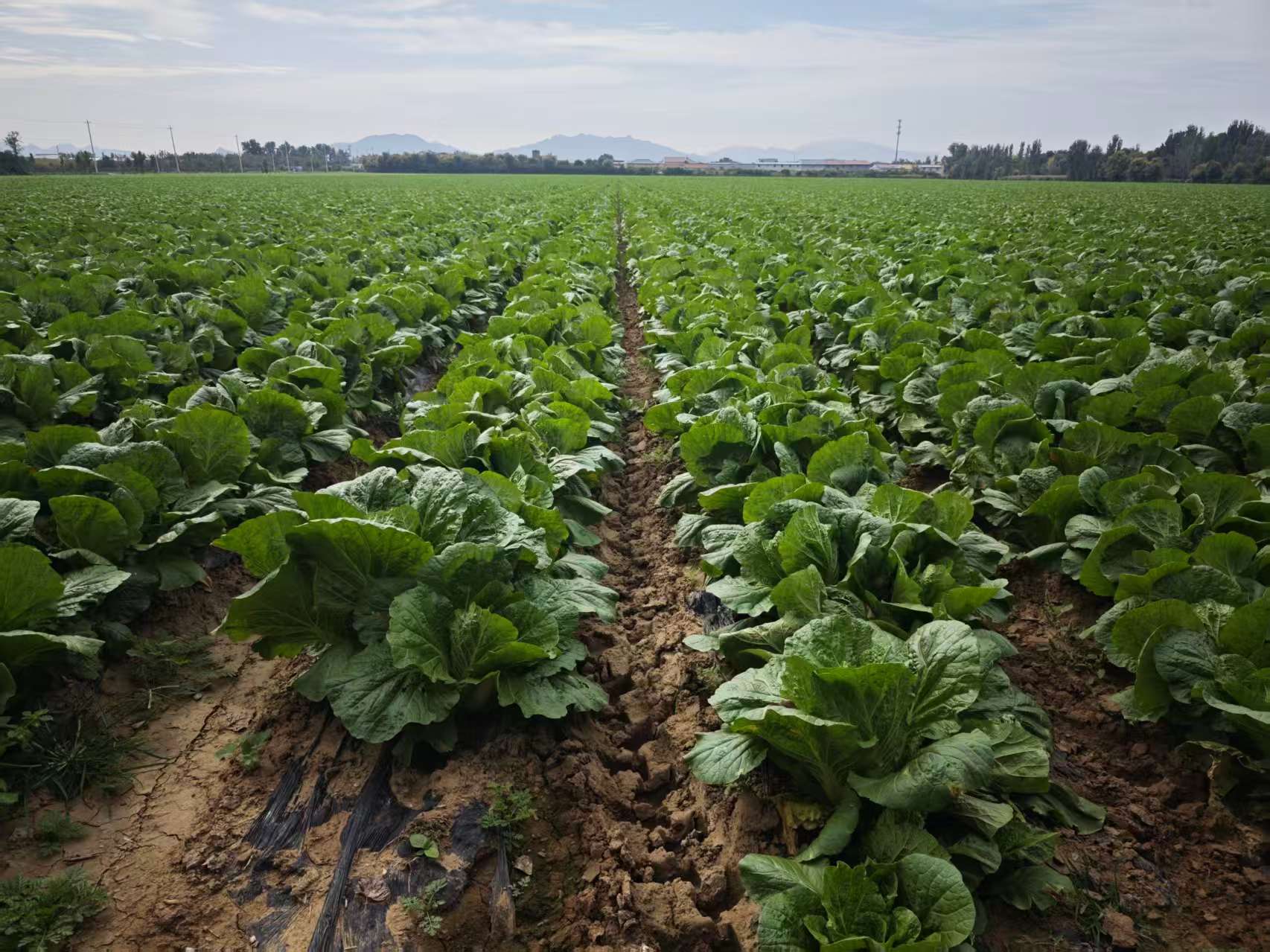 edfefc97-87d8-4e56-813d-7e8261b31bf0 edfefc97-87d8-4e56-813d-7e8261b31bf0