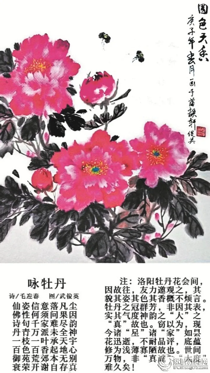 c919ab74-a926-40a1-9b95-5ff82e24e502.webp (1)