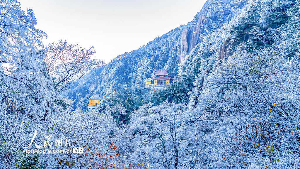 MAIN1763448659701K6XGQ6PZ7W MAIN1763448659701K6XGQ6PZ7W