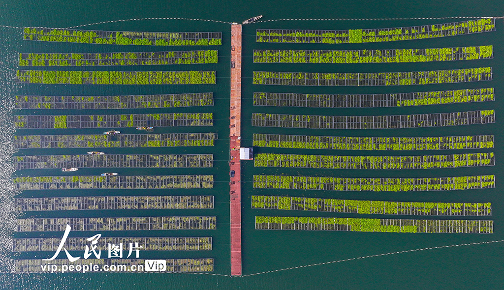 MAIN1763513114673X7JNSC9636