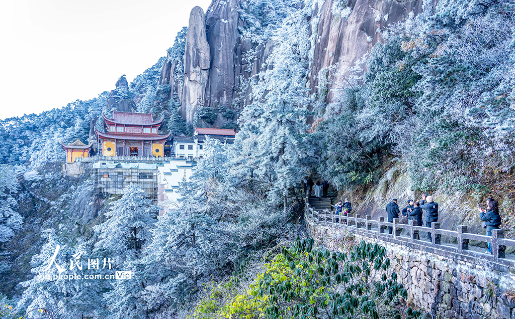 MAIN1763448660452DB928OTHOG MAIN1763448660452DB928OTHOG