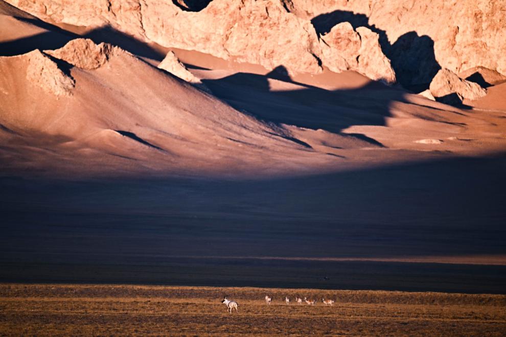 20251212971ba76bb6aa4f448d934255d9a4eeb8_068183466a8348b2878fd390dce683ea 20251212971ba76bb6aa4f448d934255d9a4eeb8_068183466a8348b2878fd390dce683ea