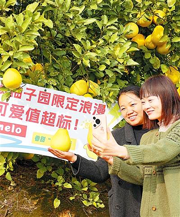 f44d3075893a2aac4edd05