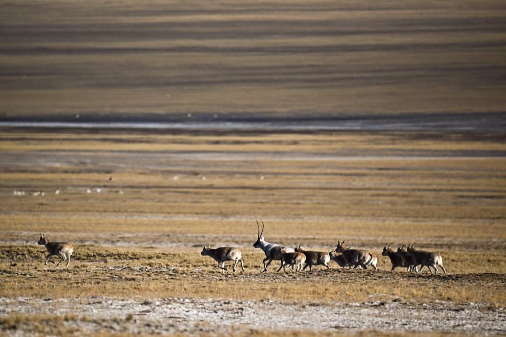 20251212971ba76bb6aa4f448d934255d9a4eeb8_890edc6f4301456f804c8bc548a06f49 20251212971ba76bb6aa4f448d934255d9a4eeb8_890edc6f4301456f804c8bc548a06f49