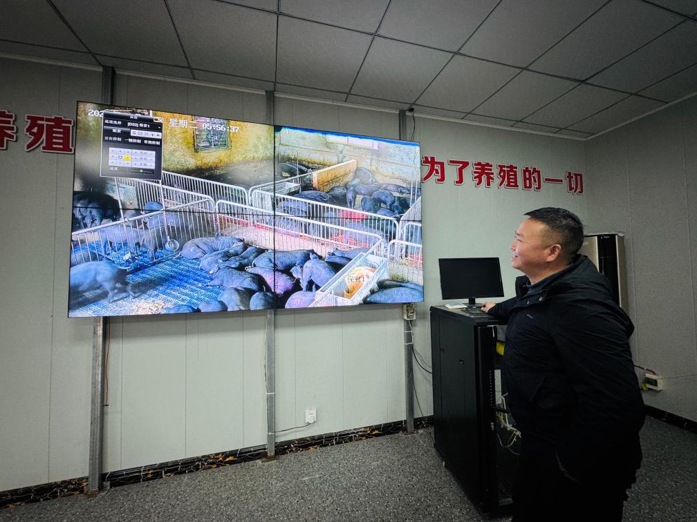 202602272053e4bbf61e421dbb40f4ae6afdfa0d_f456608e645b438ea01eb561bdc374ca 202602272053e4bbf61e421dbb40f4ae6afdfa0d_f456608e645b438ea01eb561bdc374ca