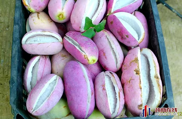 微信图片_20260419172245_292_119