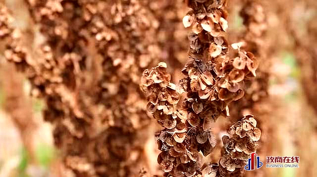 微信图片_20260417195157_569_166