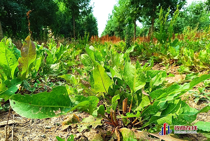 微信图片_20260417195941_573_166