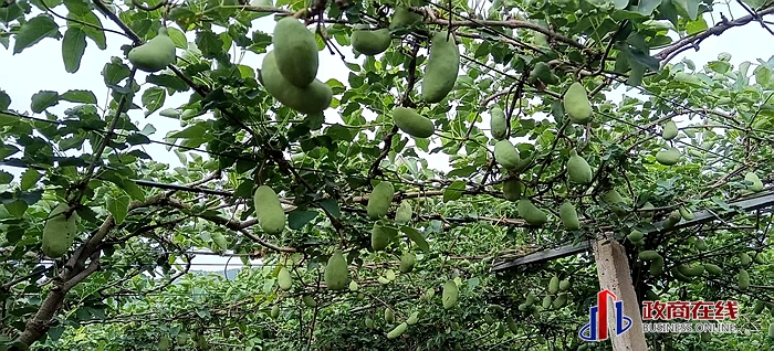 微信图片_20260419172236_290_119