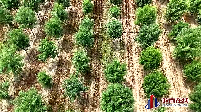 微信图片_20260417195158_570_166