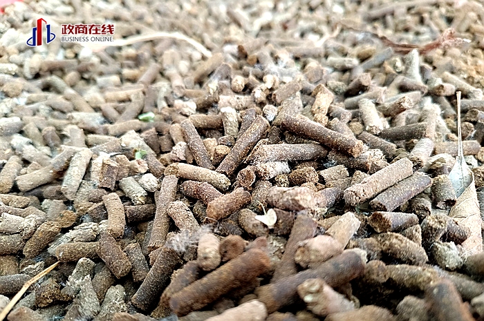 微信图片_20260417195942_574_166