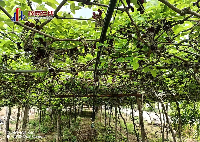 微信图片_20260419172228_289_119