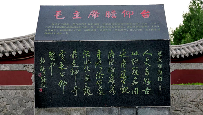 3 3