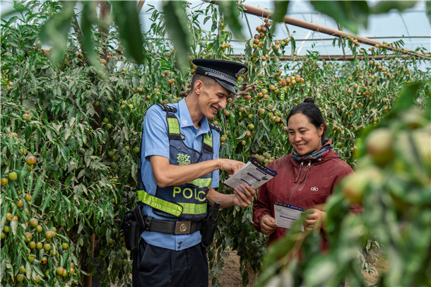 民警在冬枣大棚内向种植户发放普法宣传资料,面对面解答法律问题。 民警在冬枣大棚内向种植户发放普法宣传资料,面对面解答法律问题。
