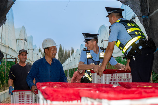 民警在温室大棚外,与枣农交流今年冬枣的产量和收购价格。 民警在温室大棚外,与枣农交流今年冬枣的产量和收购价格。