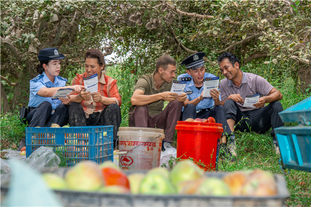 民辅警借着果农歇工的间隙,在果树下围坐宣讲,逐条讲解宣传单内容。买买提艾则孜·吐拉买提 摄 民辅警借着果农歇工的间隙,在果树下围坐宣讲,逐条讲解宣传单内容。买买提艾则孜·吐拉买提 摄